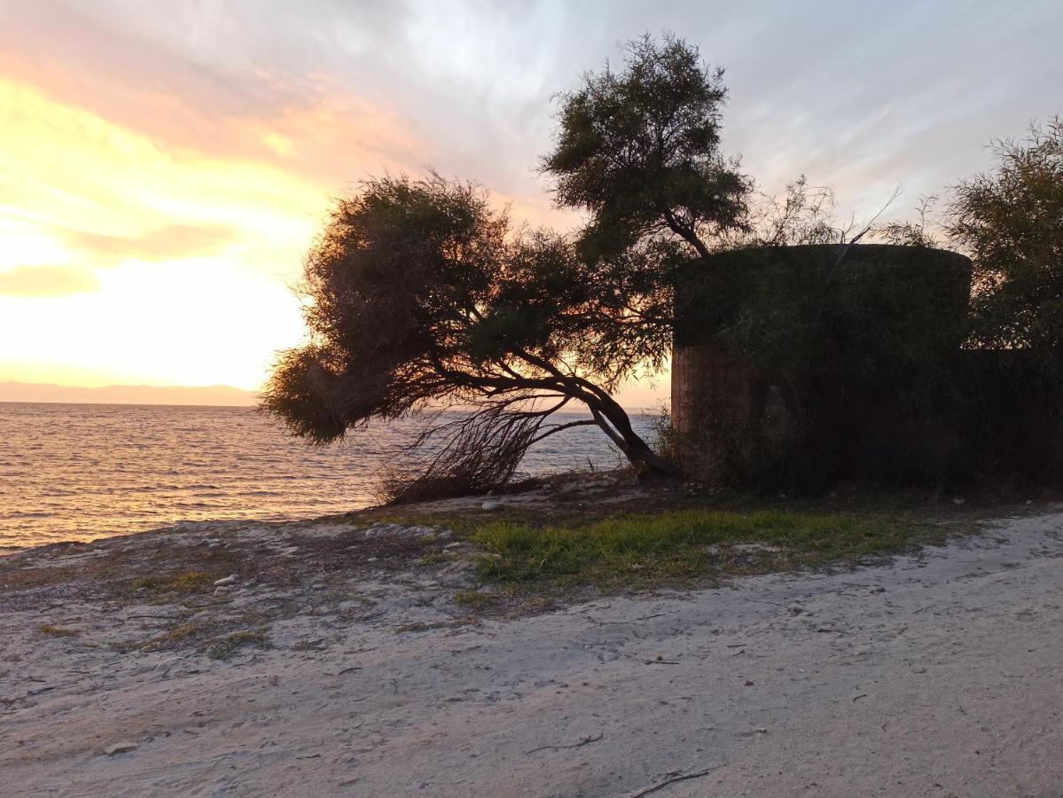 Villa Sul Mare Con Piscina Capitana Eksteriør bilde